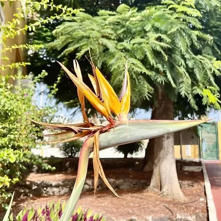 Cozy Two Bed Apartment. Costa Adeje