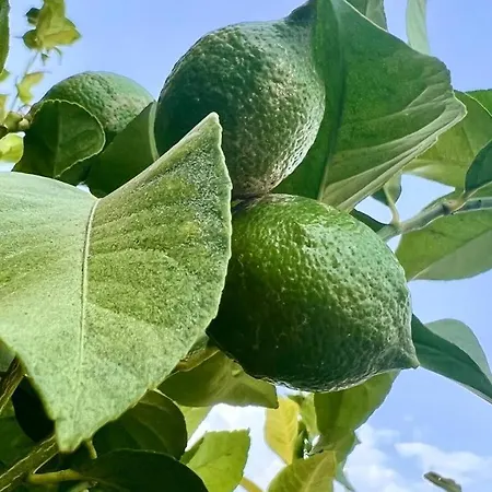 Cozy Two Bed Apartment. *