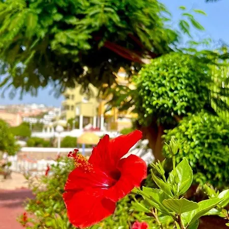 Cozy Two Bed Apartment. Apartament Costa Adeje (Tenerife)