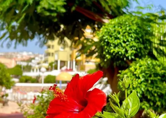 Cozy Two Bed Apartment. Apartment Costa Adeje (Tenerife)